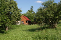 Kinderhilfe Rumänien - Haus Adam